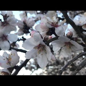 Meet your Posher, Juli